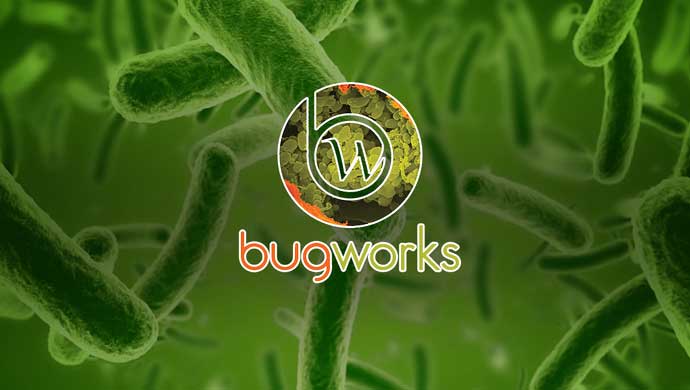 Bugworks Raises $7.5 Million In Series B Funding Round